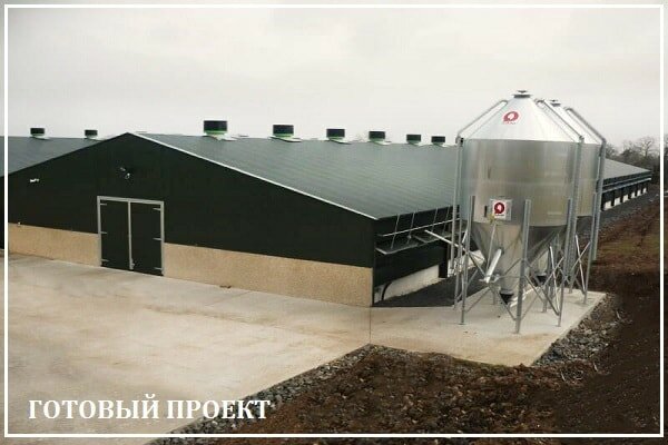Этапы возведения птицефабрики от завода ВелесТент-взь
